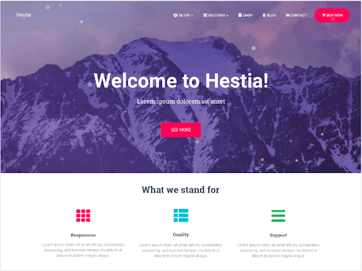 Hestia WordPress Ecommerce theme
