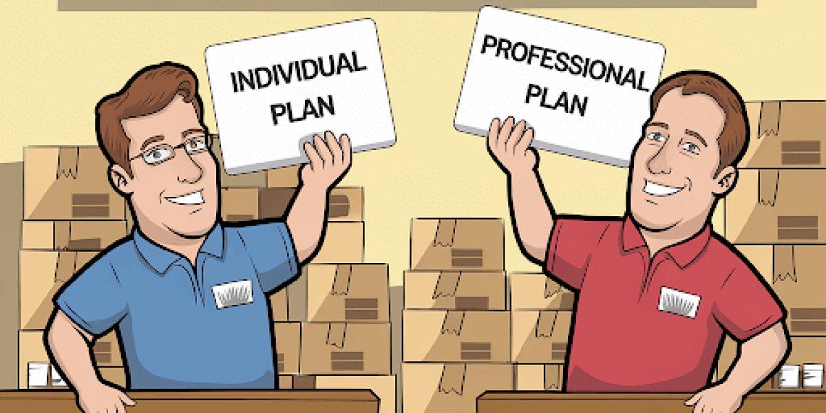 Amazon Seller Individual Vs Professional Plan
